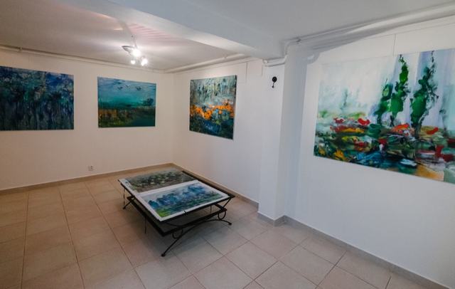 Exhibition photo 8 – Zbyněk Havlín – Paintings